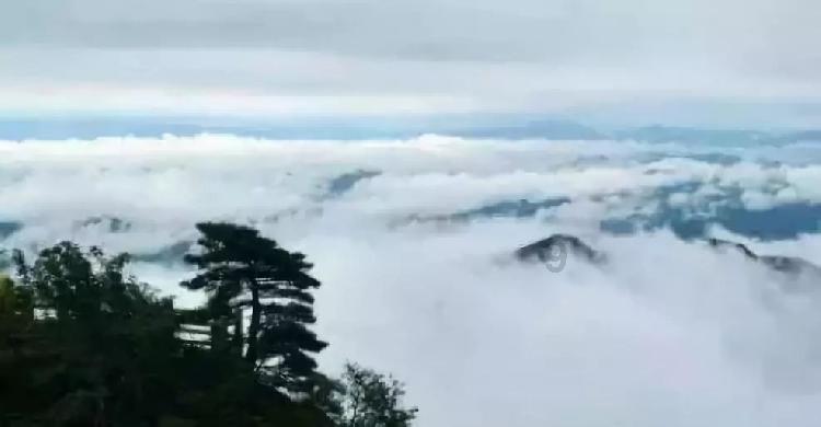 绿色短款T恤搭高腰短裤，轻松穿出好心情，你喜欢如此简约修身的搭配吗？