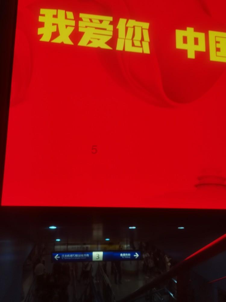 植物大战僵尸16